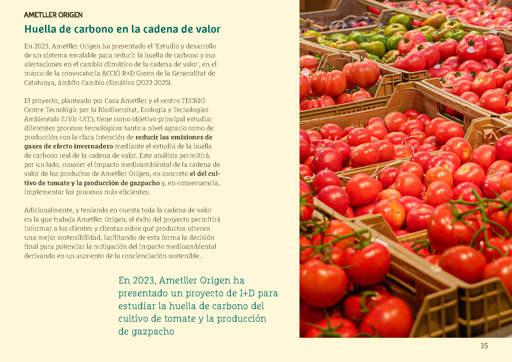 AO_M_2023_16_Página_035 AO_M_2023_16_Página_035