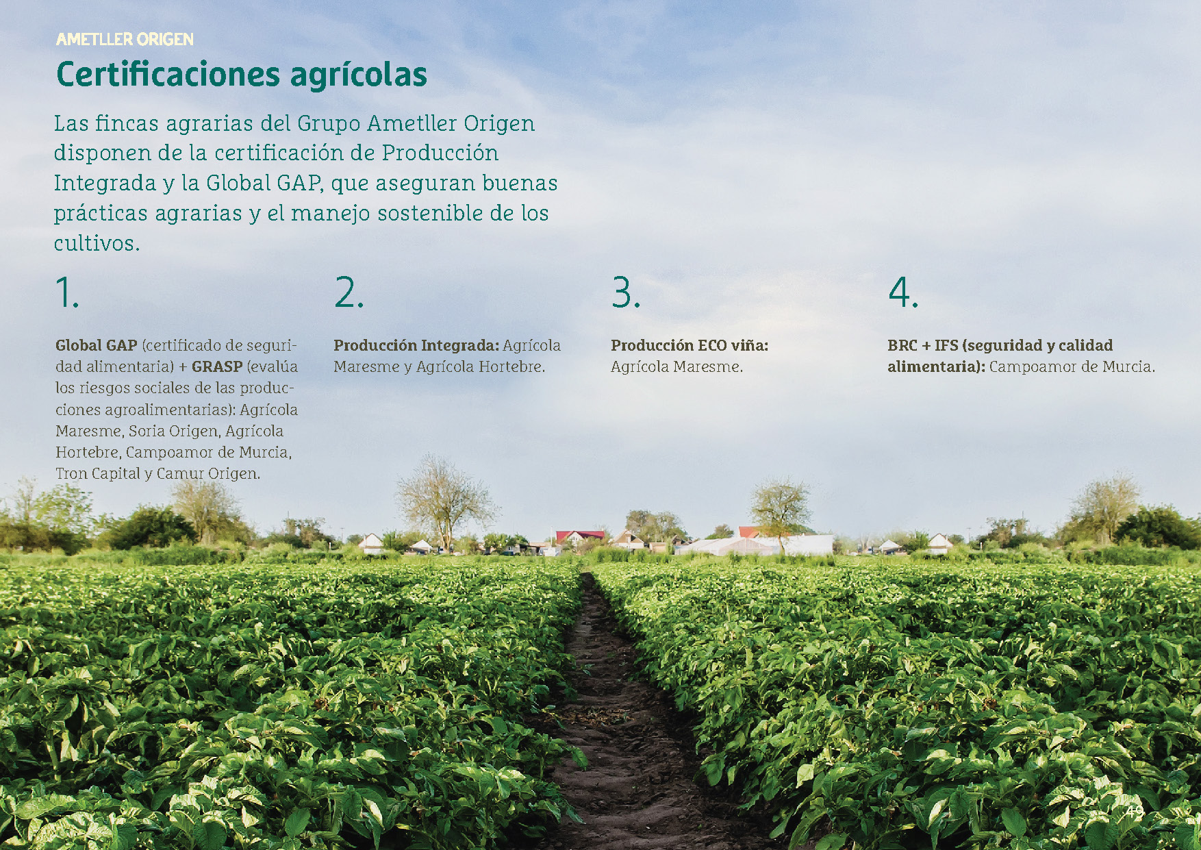 AO_M_2023_16_Página_049 AO_M_2023_16_Página_049