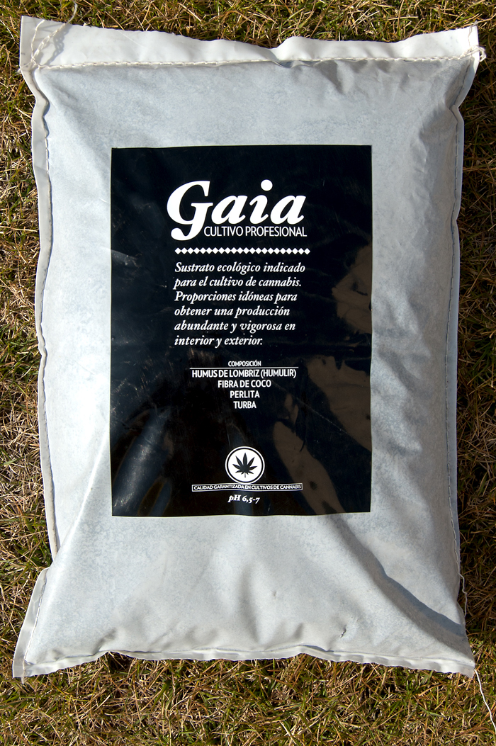 Gaia