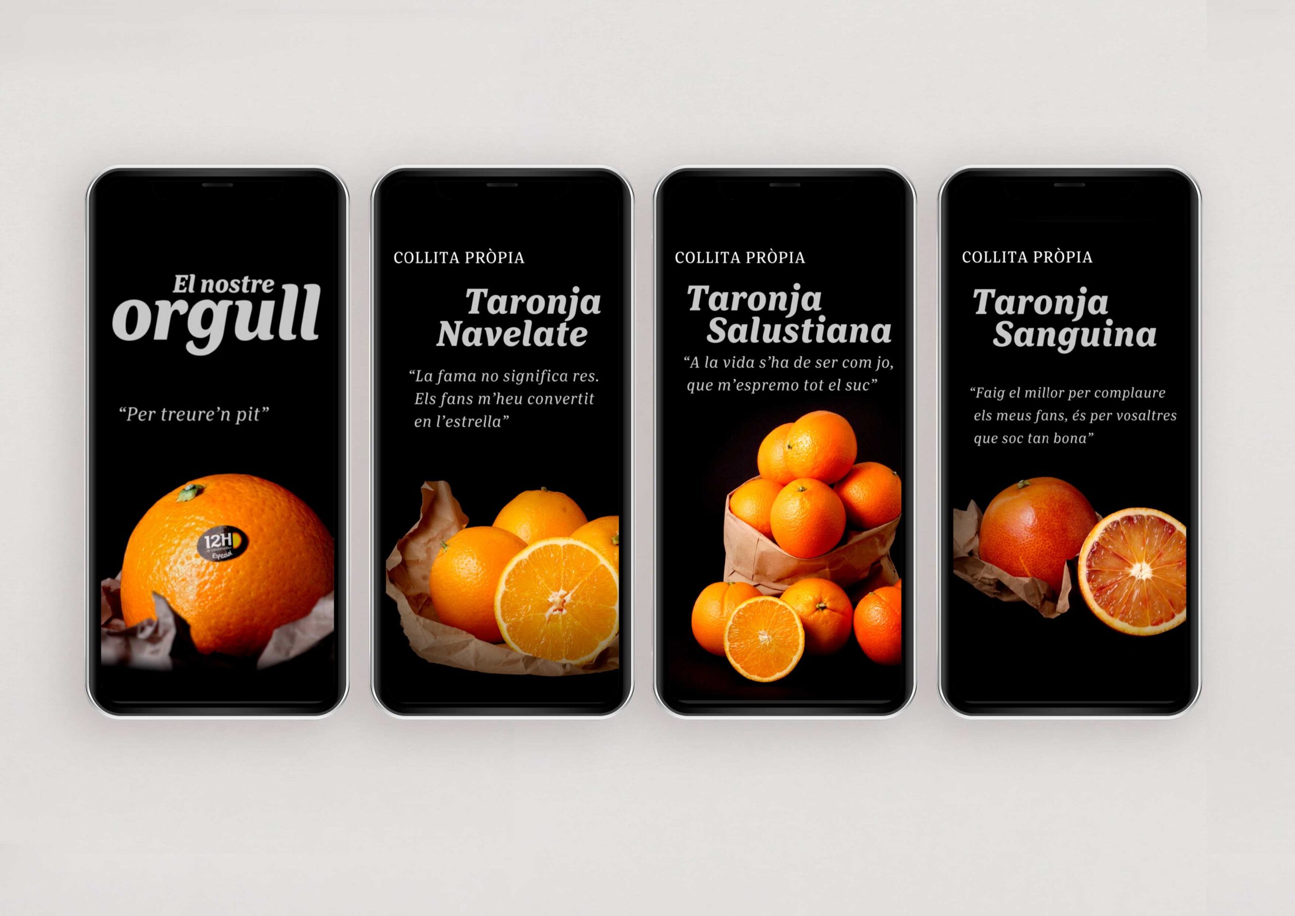 TARONJA_N2_2 TARONJA_N2_2