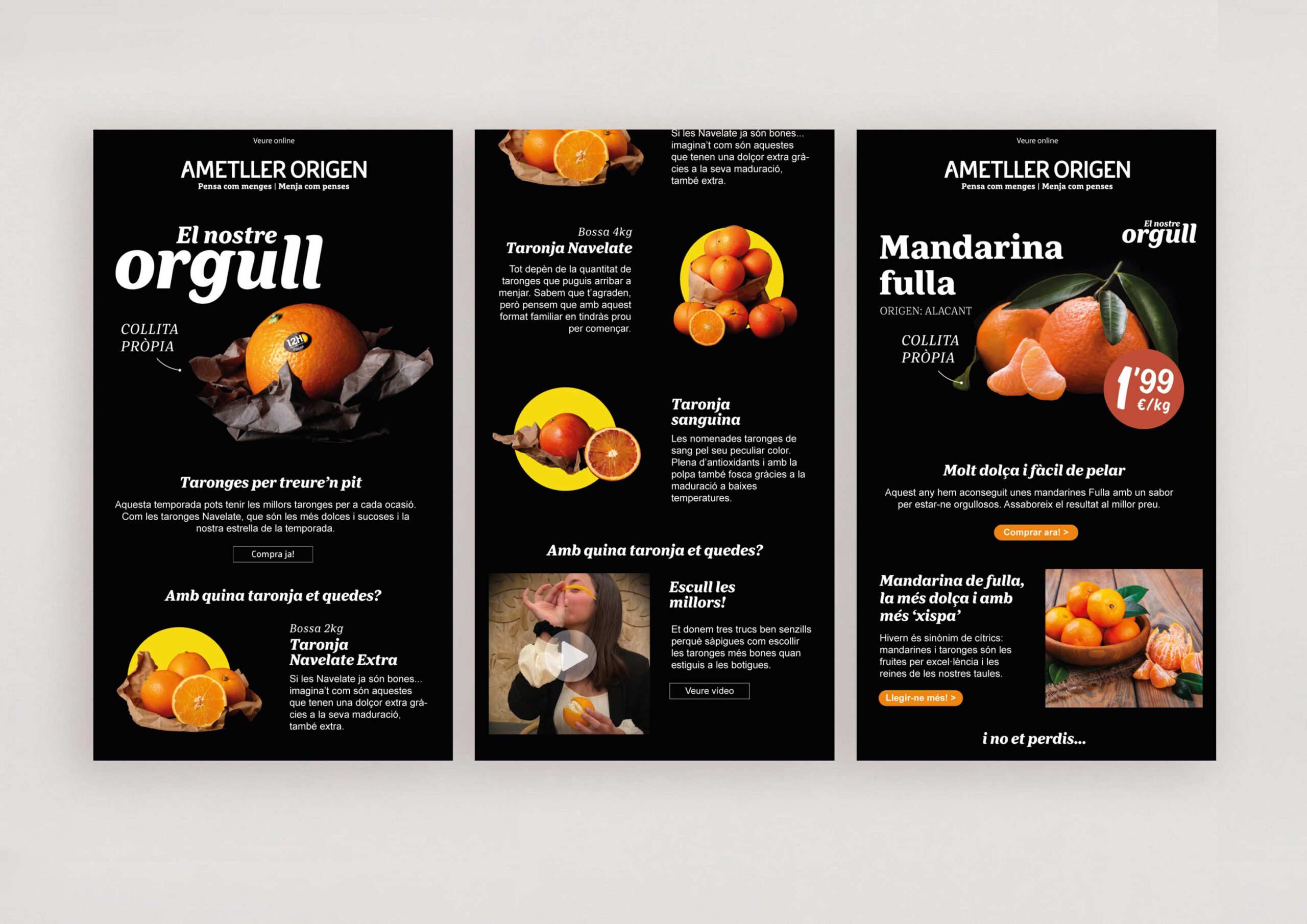 TARONJA_N2_4 TARONJA_N2_4